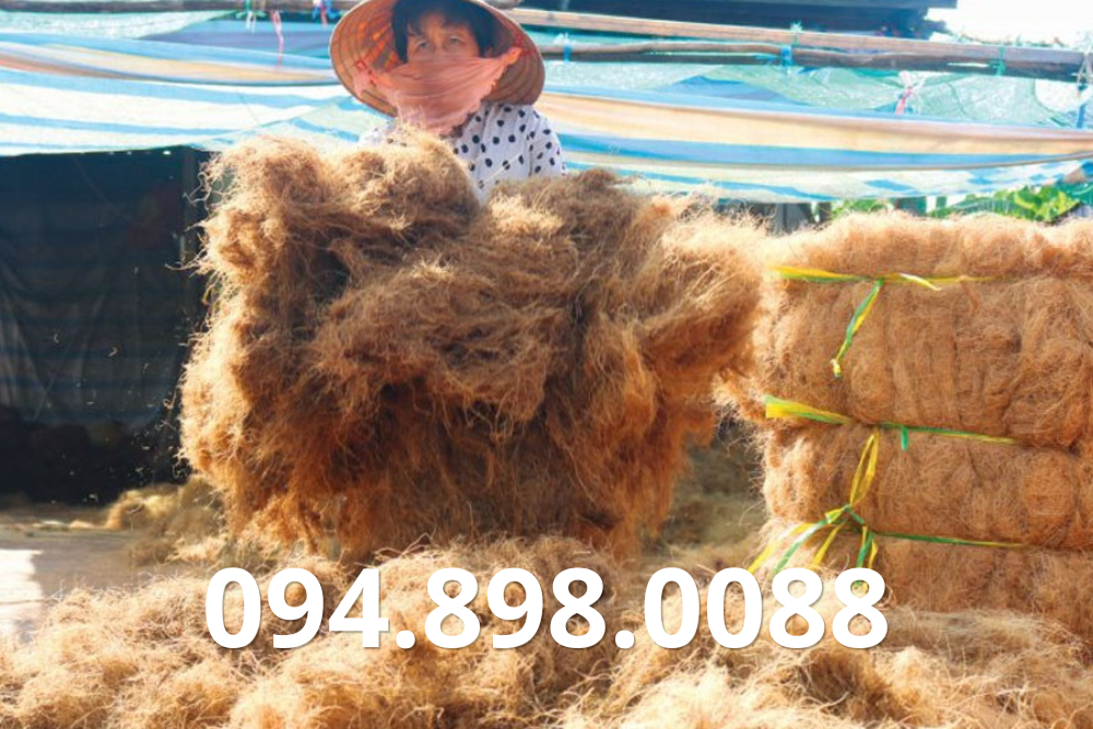 Mua Bán Xơ Dừa giá sỉ