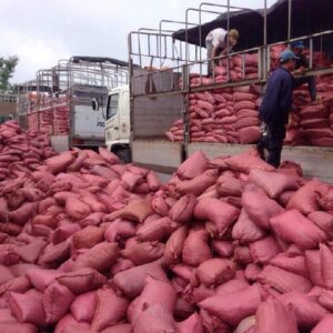 Mua phân bò khô giá sỉ
