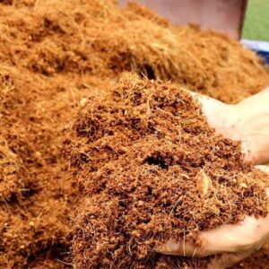 Mua Bán Xơ Dừa giá sỉ