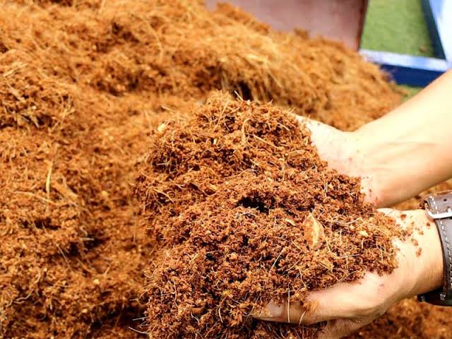 Mua Bán Xơ Dừa giá sỉ
