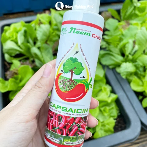Neem Chili - Chất bám dính sinh học trừ sâu rầy bọ trĩ - Ảnh 2