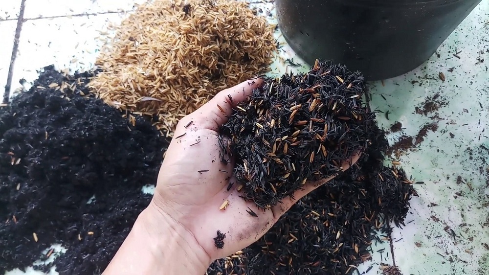 Mua bán tro trấu giá sỉ