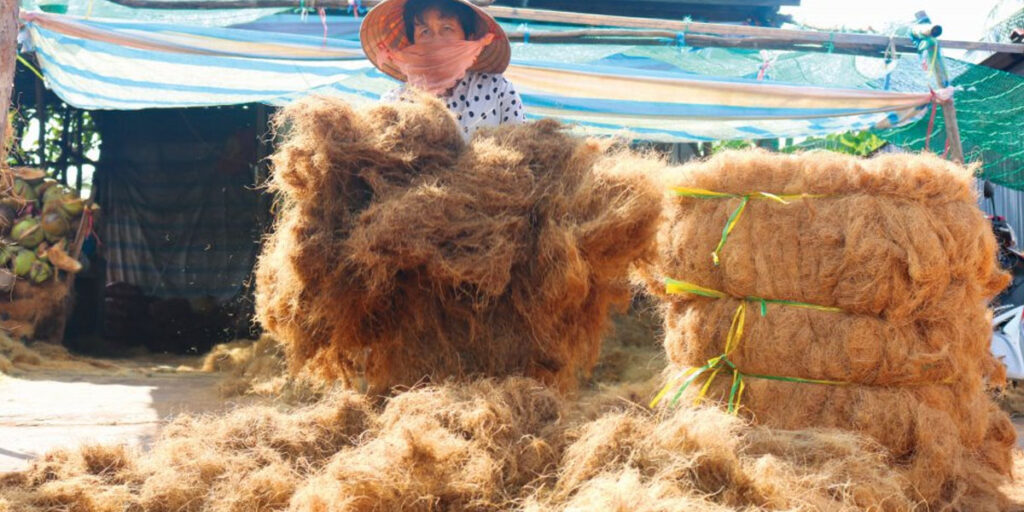 Mua Bán Xơ Dừa giá sỉ